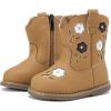 B1-brown